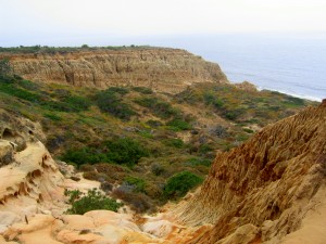 Torrey_Pines_State_Park_Valley